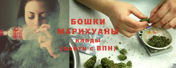 молекула духа Белоозёрский