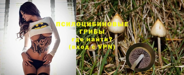 молекула духа Белоозёрский