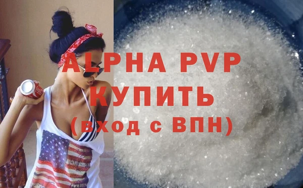 молекула духа Белоозёрский