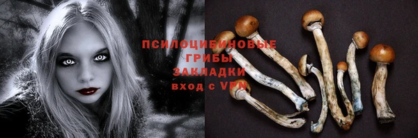 молекула духа Белоозёрский