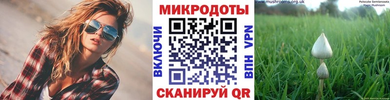 гидра как зайти  Вытегра  Галлюциногенные грибы мухоморы 